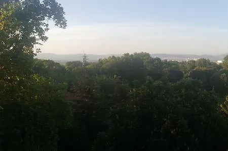 Sultan Murad Bursa